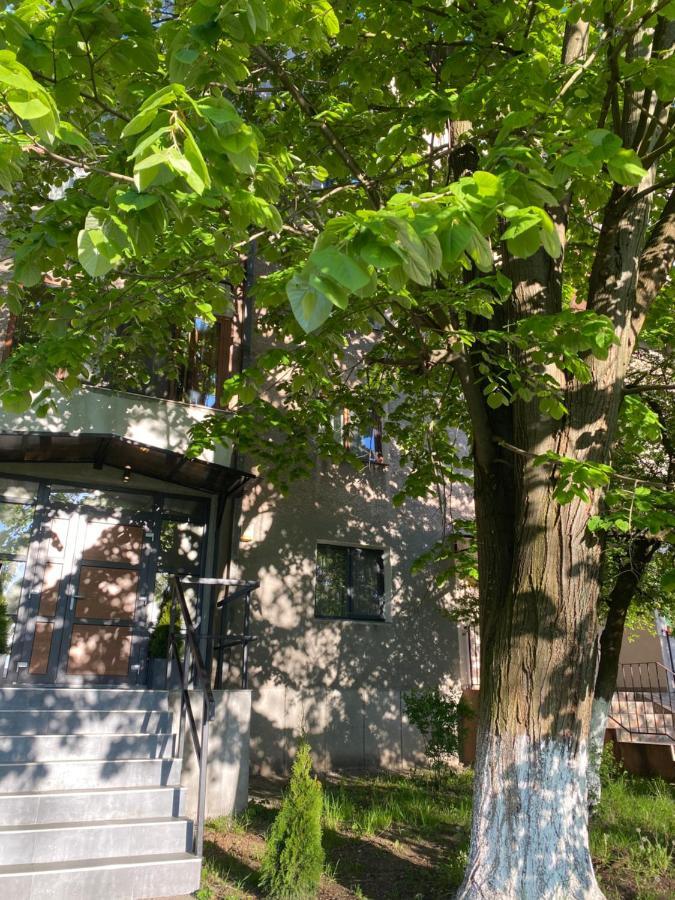 Sarah Home Hunedoara Exterior photo